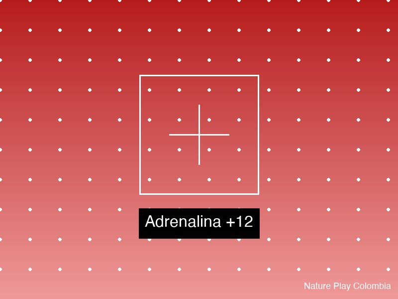 Adrenalina +12 años