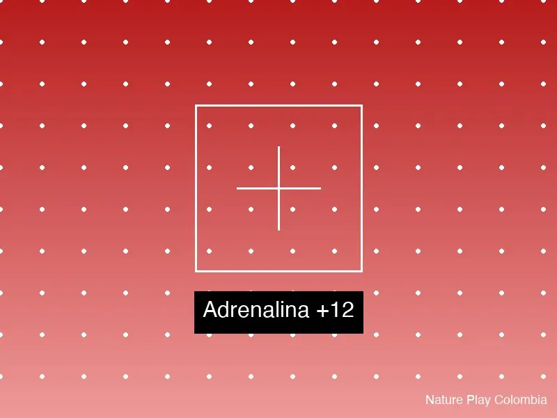 Adrenalina +12 años