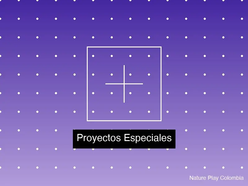 Proyectos Especiales