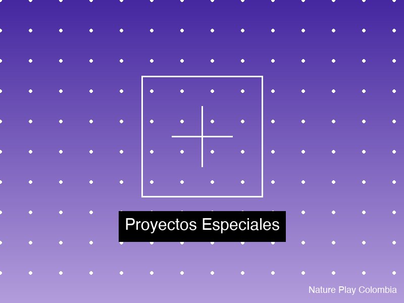 Proyectos Especiales